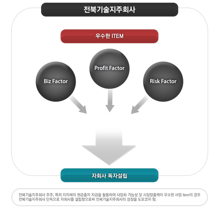 독자설립